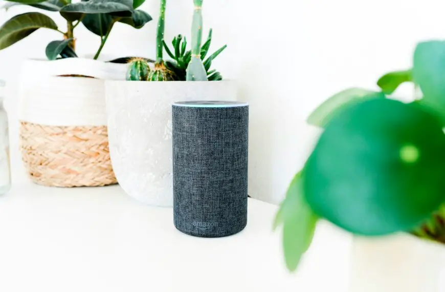 alexa